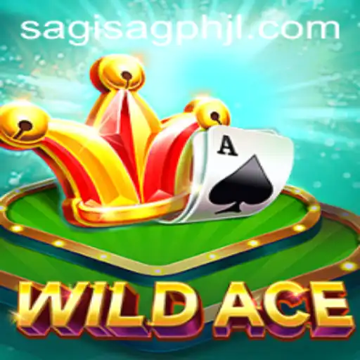 Exploring the Exciting World of WildAce: A New Gaming Phenomenon